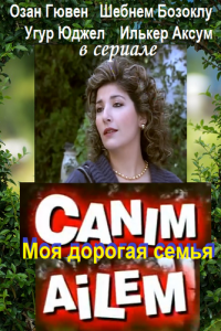 Дорогая моя семья (2008)