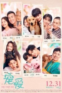   Обожание / Любимые (2019)