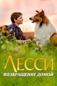   Лесси. Возвращение домой (2020)