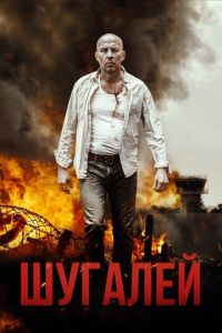   Шугалей (2020)
