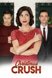   Любовь на Рождество (2019)