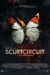   Короткое Замыкание (2017)